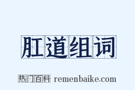 肛道组词是什么意思的图片
